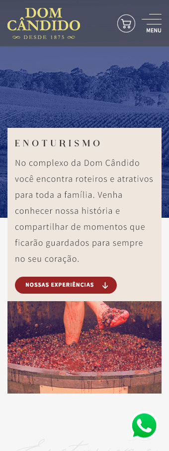 tela mobile do site domcandido.com.br
